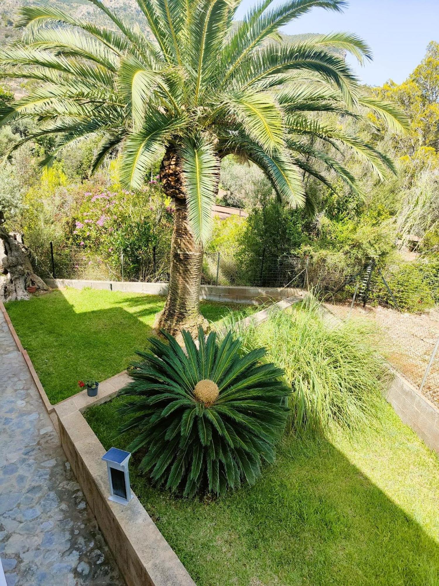 Villa Capllonch Banyalbufar Exterior photo